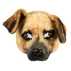Plush half mask Dog