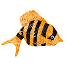 Hat Fish 3 ass. 59 (81217)
