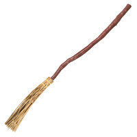 Heksenbezem (90 cm) Heksenbezem (90 cm)