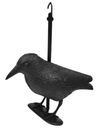 Vogelverschrikker kraai