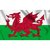 Vlag Wales