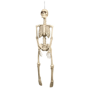 Hangdecoratie Skelet (92 cm)