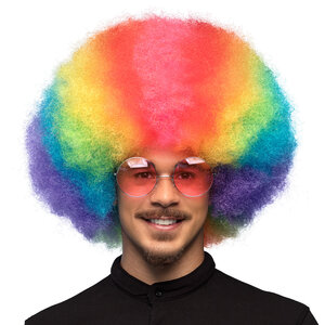 St. Pruik Clown Rainbow deluxe