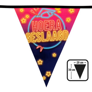 PE vlaggenlijn 'Hoera geslaagd' (30 x 20 cm, 6 m)