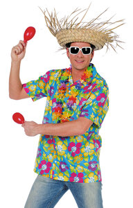 hawai shirt