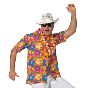 hawai shirt