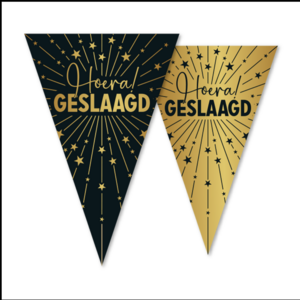 vlaggenlijn Hoera geslaagd
