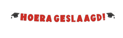 letterslinger geslaagd