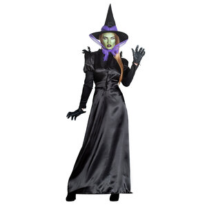 Volwassenenkostuum Raven witch (M/L)