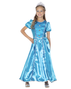 Prinsessen jurk lang blauw