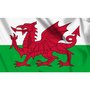 Vlag Wales