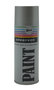 Spuitbusbus 400 Ml Zilver