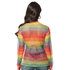 Pc. Fishnet shirt rainbow (M/L)_