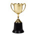 St. Gouden trofee (22 cm)_