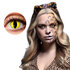 Pr Week lenses Wild Cat_