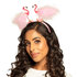 Diadeem Flamingo's_