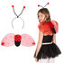 Set Ladybird (tiara and wings)_