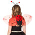 Set Ladybird (tiara and wings)_