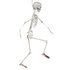 Hangdecoratie Beweegbaar skelet (91 cm)_