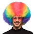 St. Pruik Clown Rainbow deluxe_
