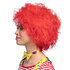 St. Pruik Clown Frizzy rood_