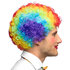 Pc. Wig Clown Curly multicoloured_