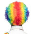 Pc. Wig Clown Curly multicoloured_