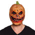 St. Latex hoofdmasker Halloweenassortiment 10 ass._