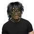 Latex hoofdmasker Franky met haar_