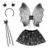 Set Spin kind (diadeem,vleugels en tutu)_