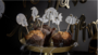 Prikkers - Creepy Curiosities - 6 stuks_