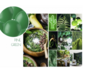 Ballonnen  33cm Pine Groen /10_