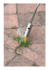 Onkruidbrander gas 80 cm_
