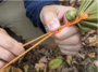SOL Fire Lite 550 Tinder Paracord 9,1 m_