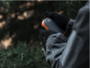 Thaw Handwarmer Oplaadbaar 10000mAh_
