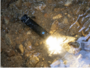Olight Arkfeld Cool White_