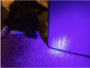 Nebo Torchy UV_