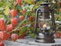 Feuerhand Stormlamp 276 Brons_
