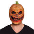 Latex hoofdmasker Halloween 10 ass._