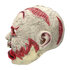 Latex hoofdmasker Undead_
