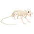 Rattenskelet Nibbles (46 x 7 x 10 cm)_