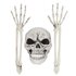Set Begraven skelet (schedel en armen)_