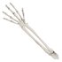 Set Begraven skelet (schedel en armen)_