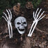 Set Begraven skelet (schedel en armen)_