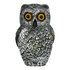 Mummy decoratieset (mummy in doodskist, 3 botten, 1 spinnenweb, 3 spinnen)_