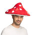 Hat Mushroom_