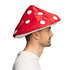 Hat Mushroom_
