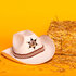 Cowboyhoed kind Sheriff 5 kleuren ass._