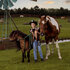 Cowboyhoed kind Sheriff 5 kleuren ass._