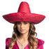 Sombrero Puebla 5 kleuren ass. (√ò 49 cm)_